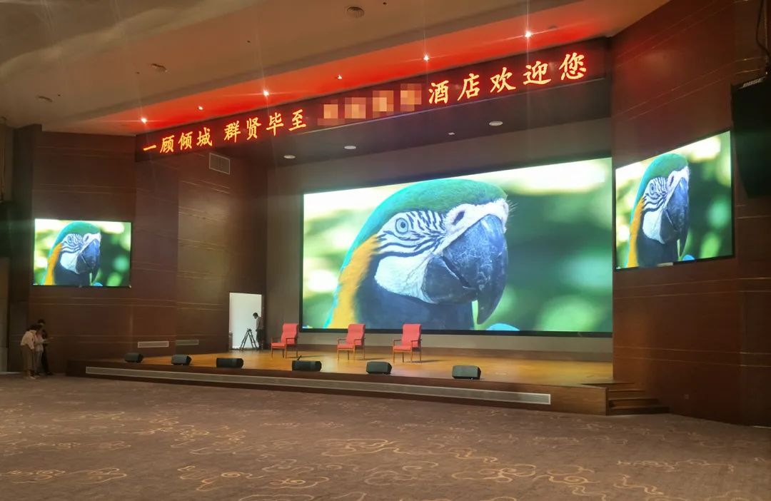 且看海佳彩亮超清小间距遍地开花