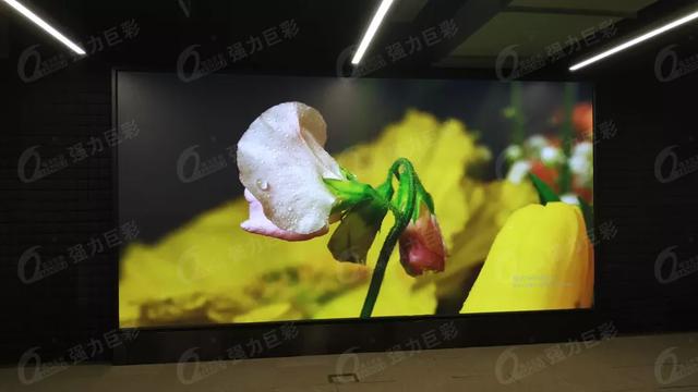 强力巨彩会议显示流行新风尚，快来看看