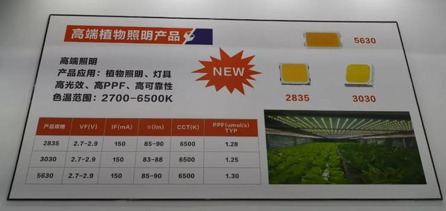 吐槽归吐槽，我们发现了光亚展好的一面