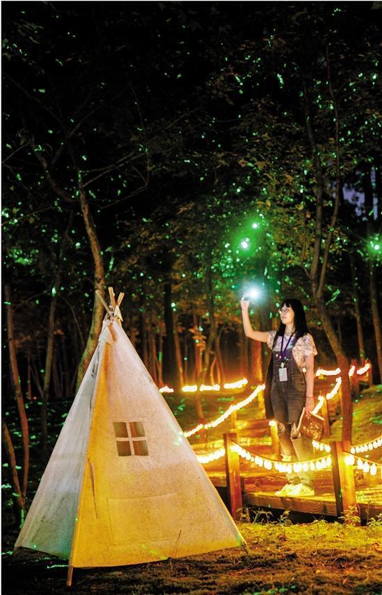 浙江安吉乡村培育夜间文旅 是谁敲响了竹乡夜消费的门？