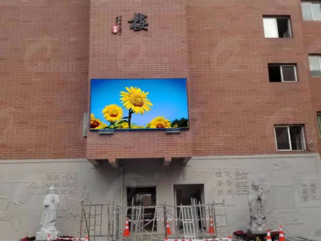距离产生美？不！户外小间距近看也很美~