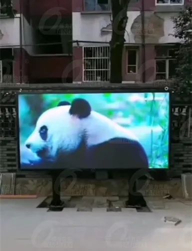 距离产生美？不！户外小间距近看也很美~