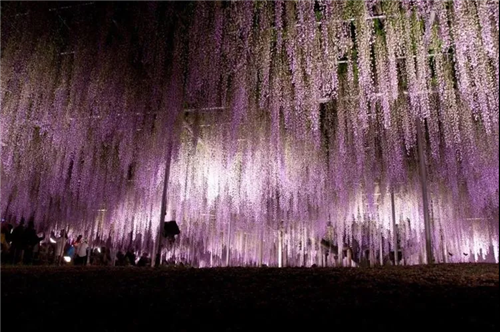 夜经济系列之灯光秀：从点亮城市到赋能城市（下）