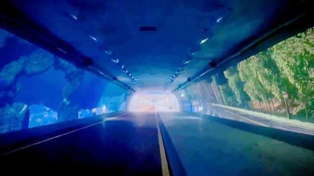 国内最长慢行景观隧道正式开通，巨幕投影、5G覆盖