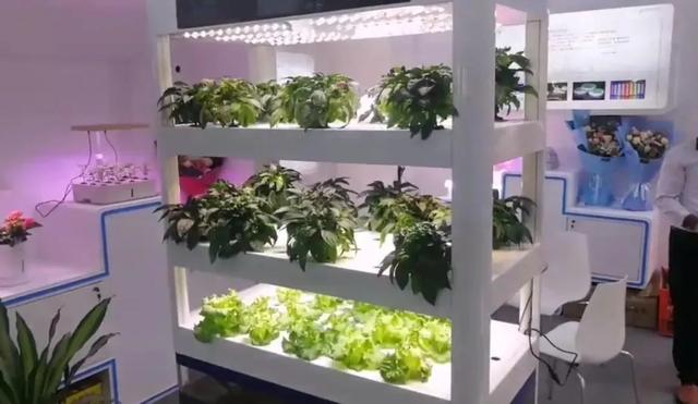 吐槽归吐槽，我们发现了光亚展好的一面