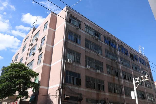 鑫田美：怀揣赤诚与匠心，用一条好线成为显示屏强有力的后盾