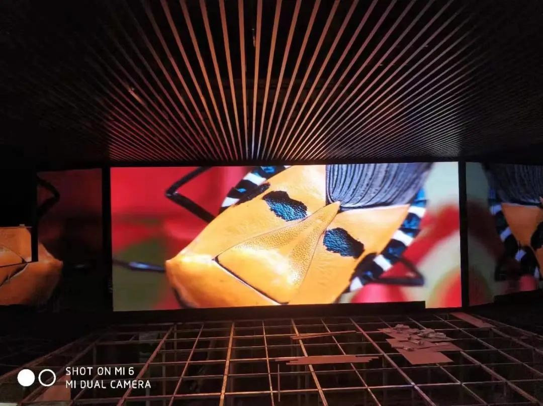 无限精彩 | 海佳彩亮卓越显示赋能体育馆！