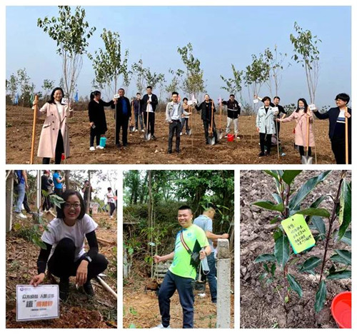 向阳而生 “植”得期待 | 联建光电邀您一起为未来“充值”