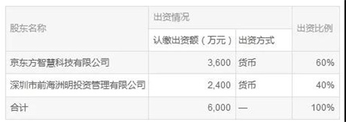 洲明科技：关于战略合作的进展暨签署协议拟设立合资公司的公告