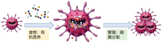 LED照明灯具可以抗菌抗病毒了