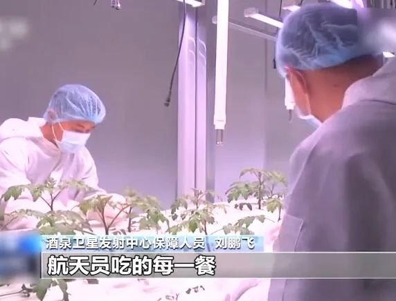 植物补光设备行业发展驱动因素及机遇挑战分析