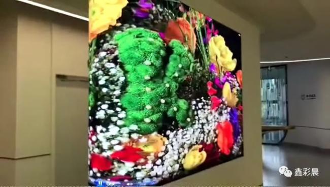 鑫彩晨：柔性LED，经典案例分享