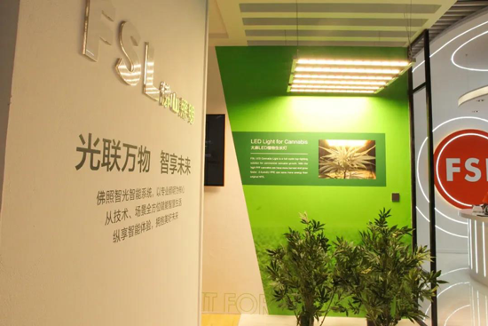 承载光的使命，佛山照明将“智慧”进行到底