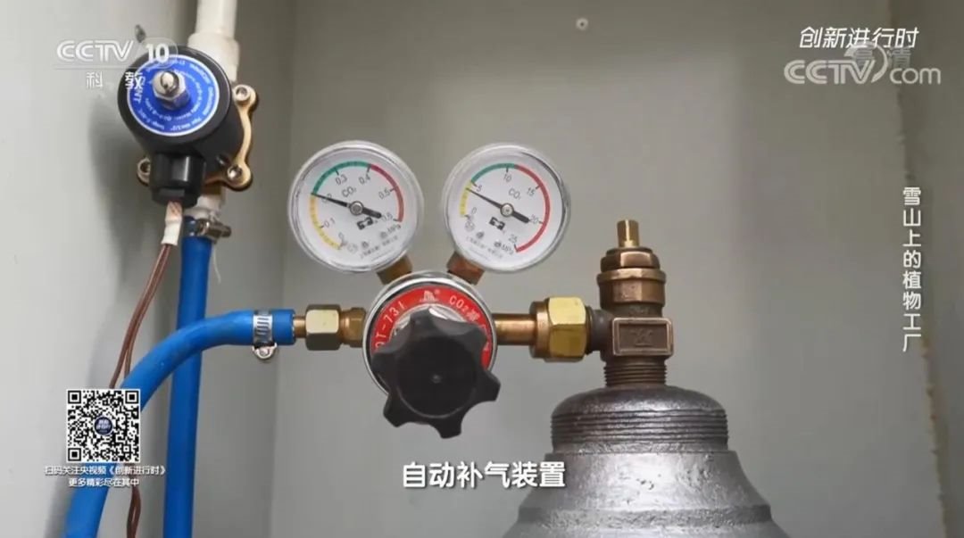 CCTV10《创新进行时》专题报道：雪山上的植物工厂
