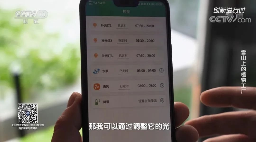 CCTV10《创新进行时》专题报道：雪山上的植物工厂