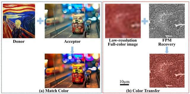 研究人员通过LED照明来提高彩色显微成像效率