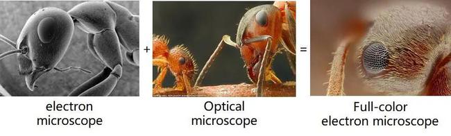 研究人员通过LED照明来提高彩色显微成像效率