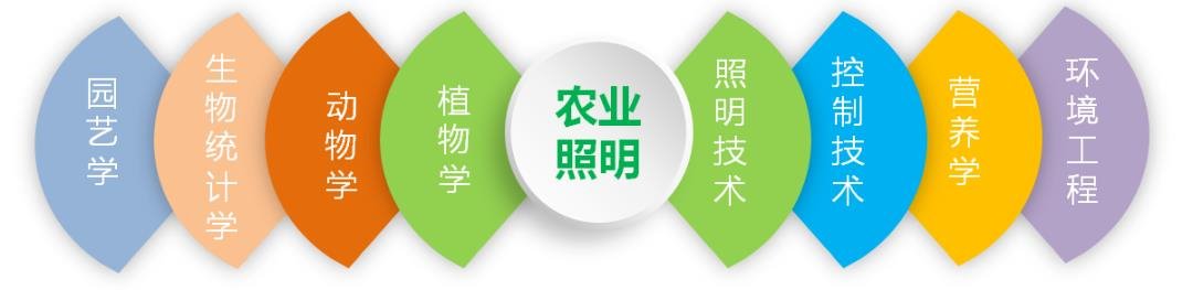 数字繁荣背后的“K”型分化—从中国照明行业相关上市公司2021年半年报看行业现状