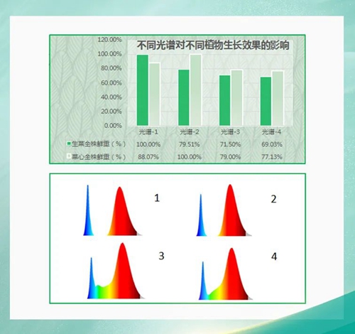 国星光电生物光学LED助力“点亮”智能农业新时代