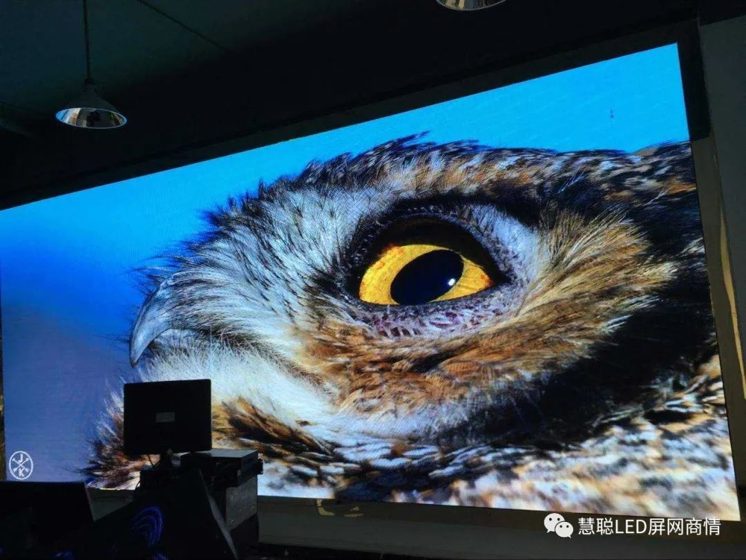 行情不断催化，Mini LED商用元年已至