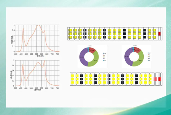 植物照明，国星有哪些杀手锏？