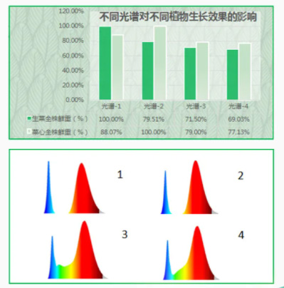 植物照明，国星有哪些杀手锏？