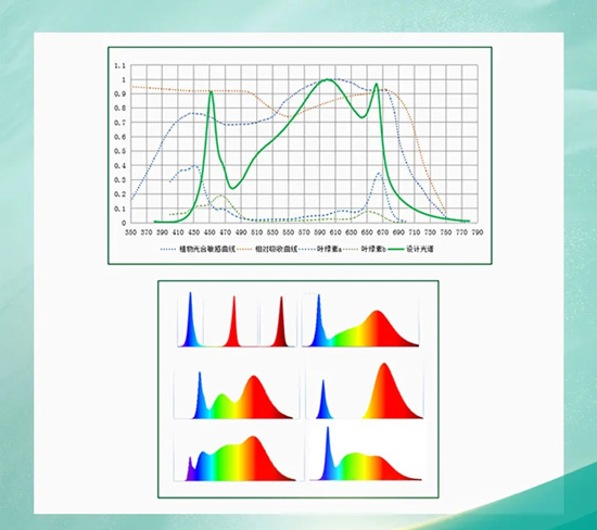 植物照明，国星有哪些杀手锏？