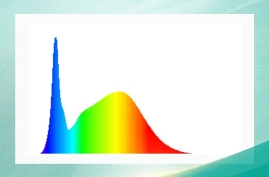 植物照明，国星有哪些杀手锏？