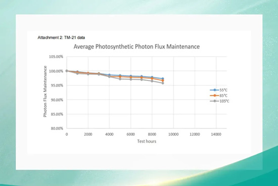 植物照明，国星有哪些杀手锏？