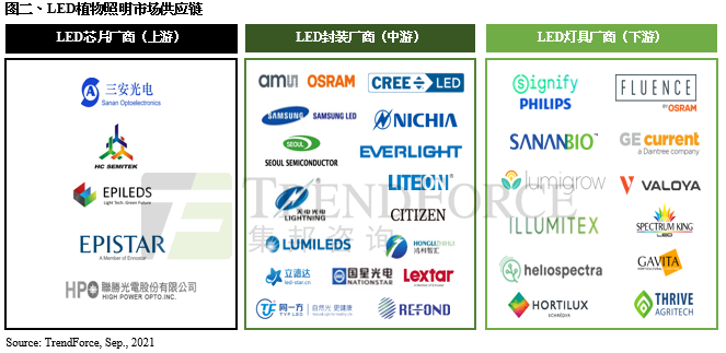 食品安全要求提升 有望推升2021年全球植物照明LED产值至3.99亿美元