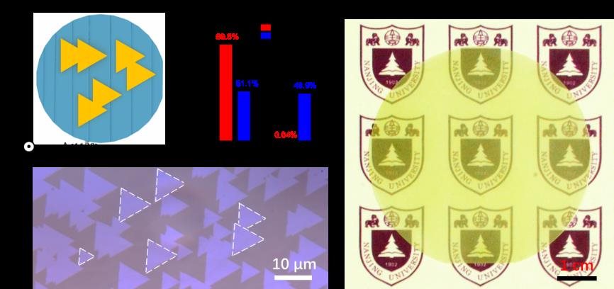 南京大学团队在二维半导体领域取得关键突破！