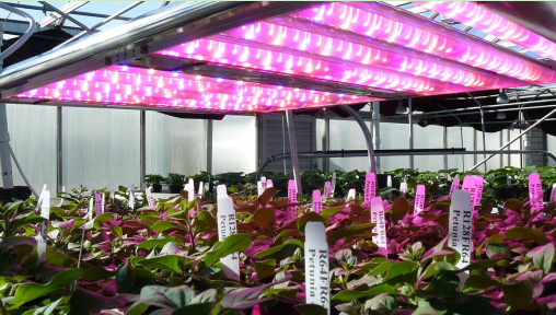 艾迈斯欧司朗开启新征程,打造光学解决方案全球领导者 艾迈斯欧司朗开启新征程,打造光学解决方案全球领导者