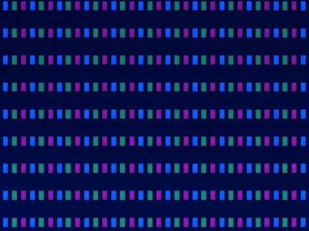 攻克难点技术!国星光电Micro LED取得重要进展 攻克难点技术!国星光电Micro LED取得重要进展