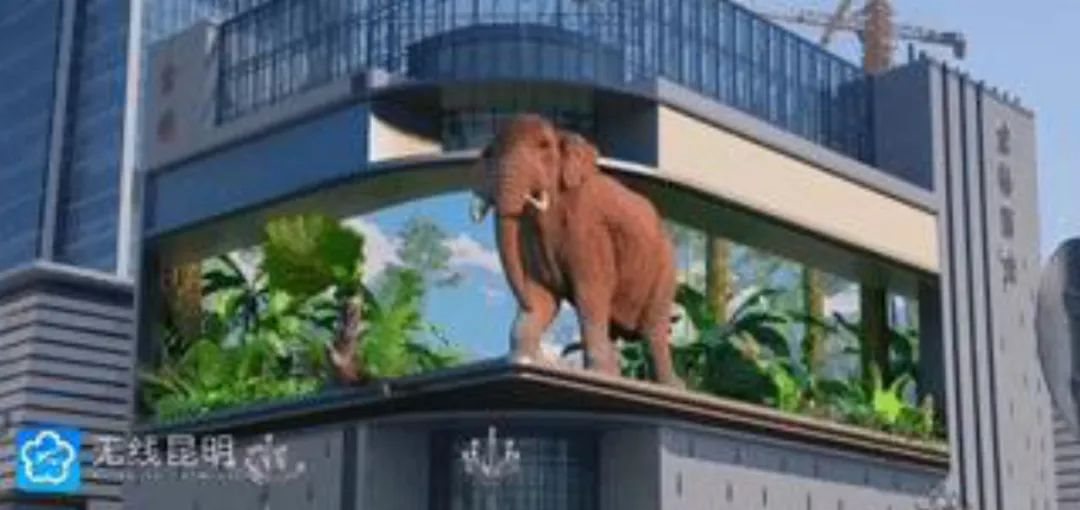 集创北方LED产品助力裸眼3D技术呈现生物多样之美