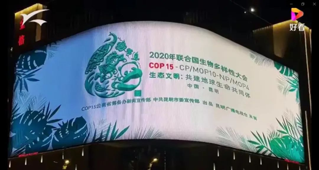 集创北方LED产品助力裸眼3D技术呈现生物多样之美