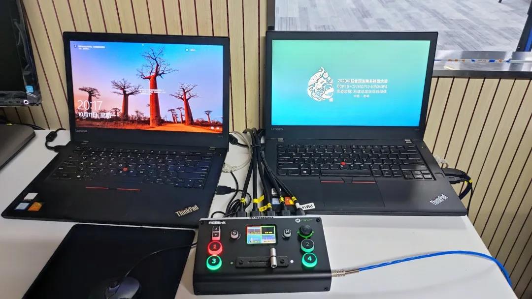 COP15|躬逢盛世，与有荣焉，幸甚至哉