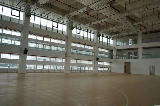 三雄极光照亮赛事场馆,为亚青会助力! 三雄极光照亮赛事场馆,为亚青会助力!