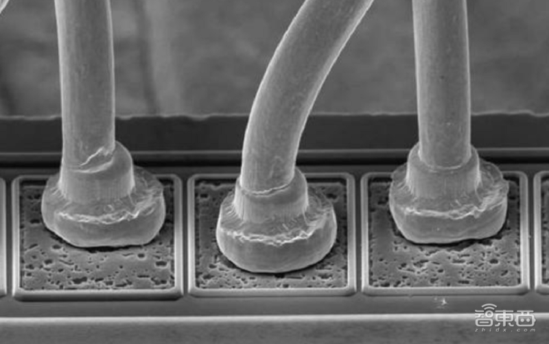 如何打破芯片封装设备“卡脖子”难题?对话凌波微步创始人 如何打破芯片封装设备“卡脖子”难题?对话凌波微步创始人