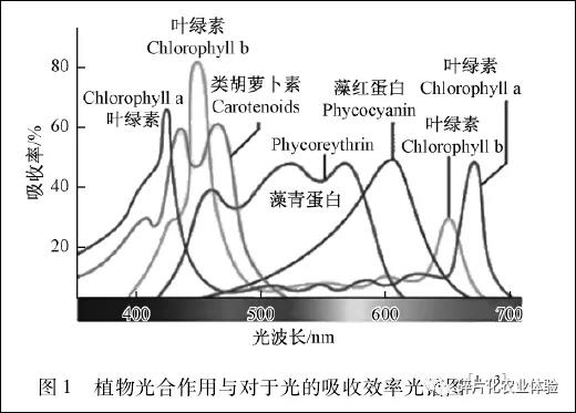 LED：未来农业的“光”明