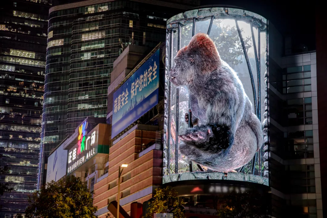 广州繁华商圈惊现巨型金刚！