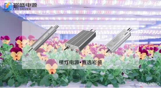 三年做到“二分营收有其一”,崧盛植物照明还在创造“奇迹” 三年做到“二分营收有其一”,崧盛植物照明还在创造“奇迹”