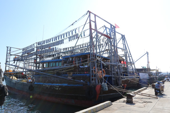 佛照海洋照明关键一步