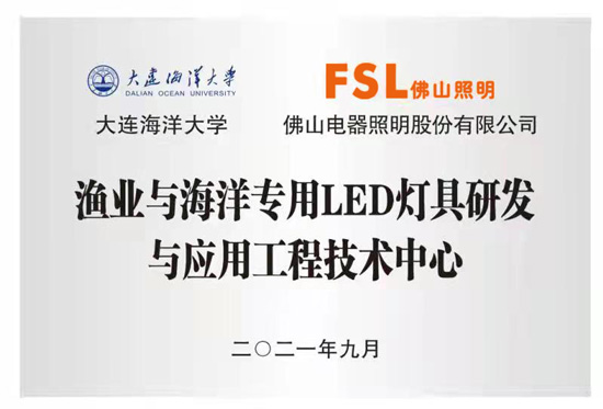 佛照海洋照明关键一步