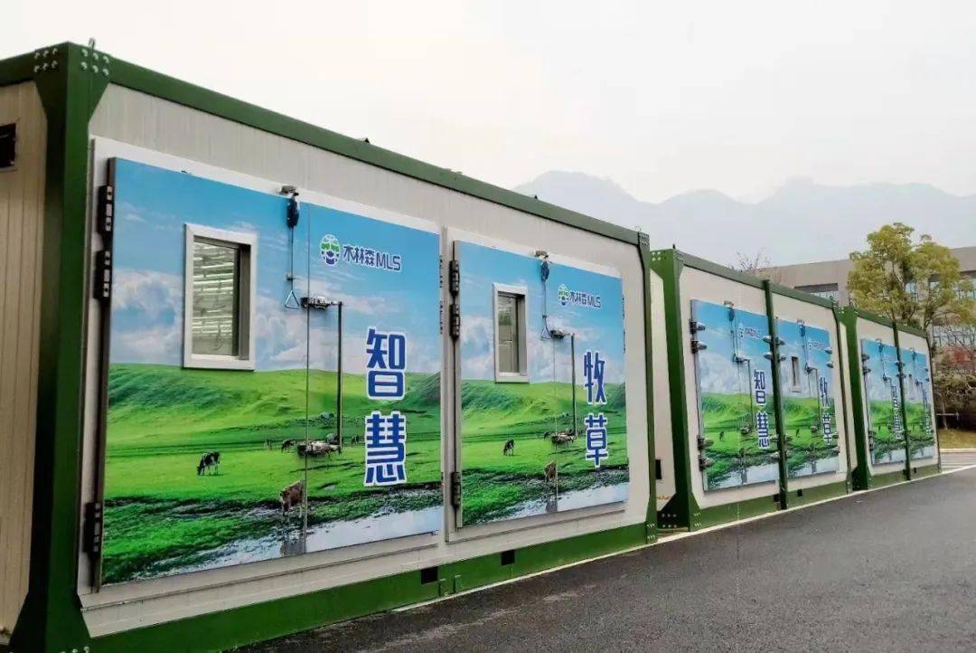 木林森荣获《投资时报》2021年度 “非凡投资价值企业”等两项大奖