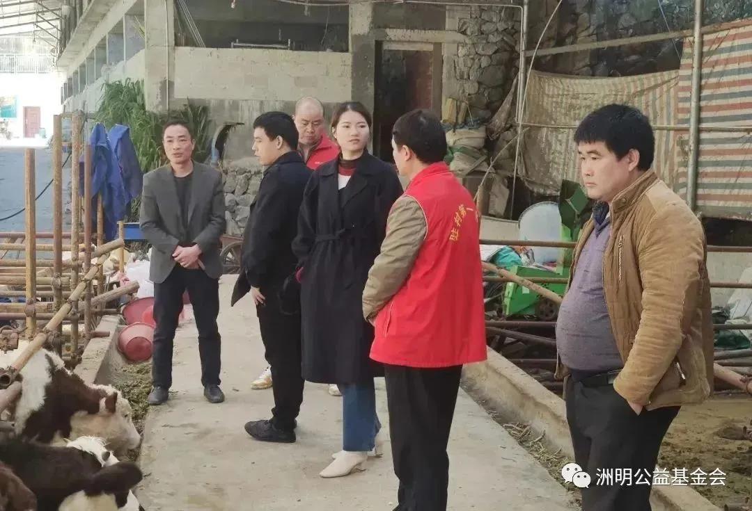 助力乡村振兴!洲明公益基金会结对帮扶广西4个脱贫村 助力乡村振兴!洲明公益基金会结对帮扶广西4个脱贫村