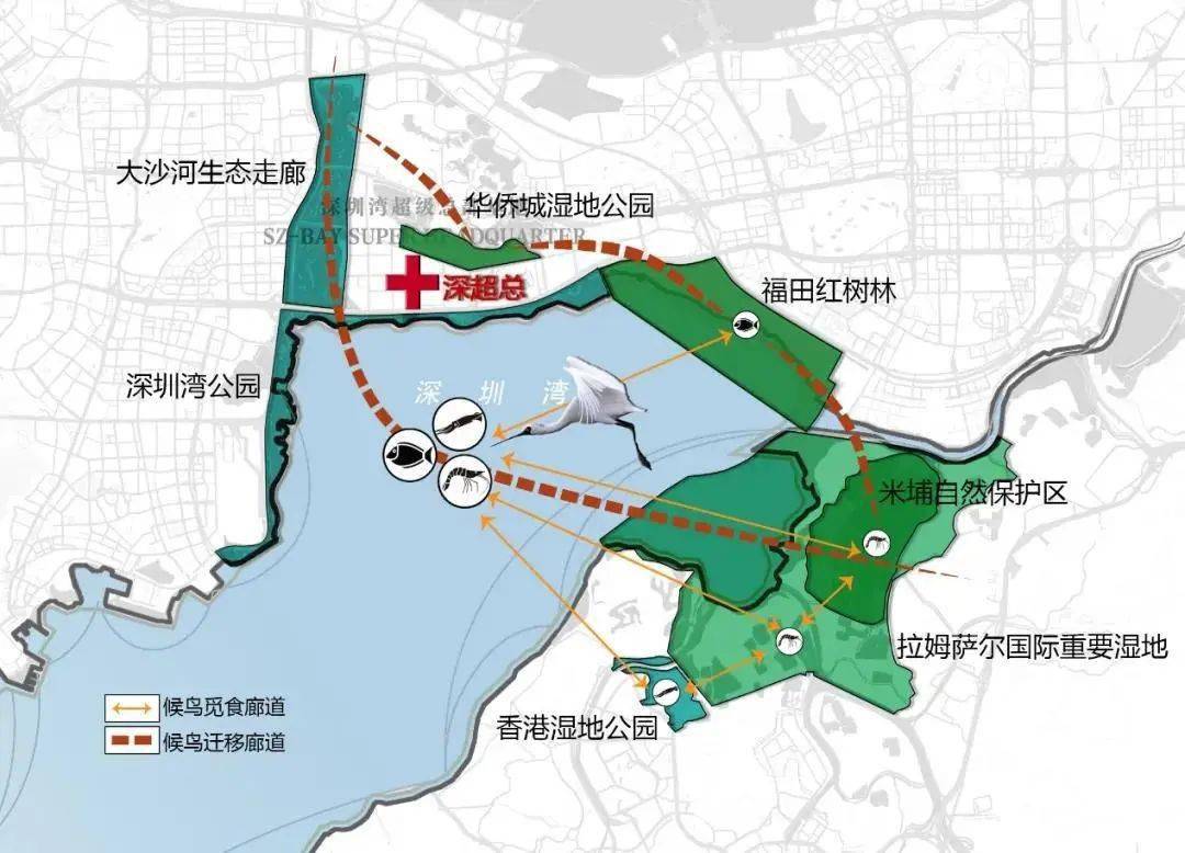 深圳湾超级总部基地三大专项规划发布，将打造面向全球的智能化窗口！