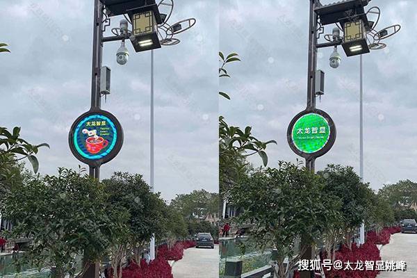 太龙智显led灯杆屏助力平阳县建设智慧数字乡村 