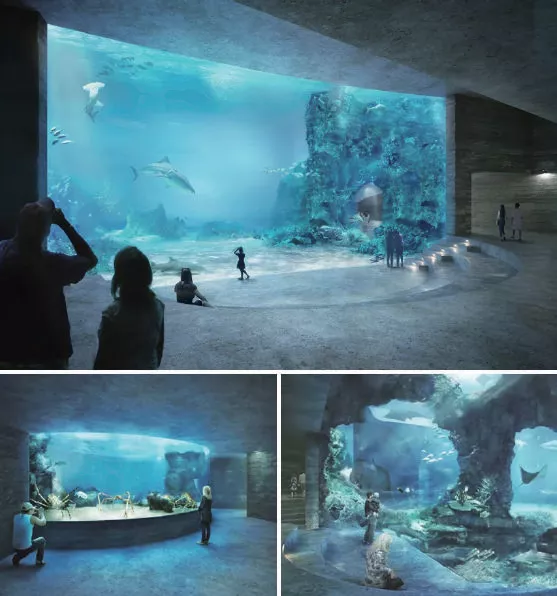 艾森视讯：胸怀行业责任，为高端显示智造赋能