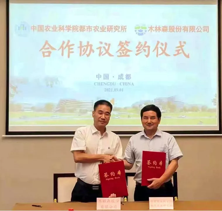 LED行业产值持续第一！木林森还有哪些升级与破圈之路？