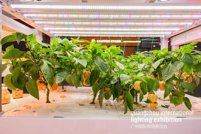 健康照明新动态,国星照明用LED光源技术达国际先进水平